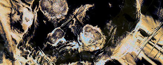 Sanctum Skulls Wool-Silk Wrap – Limited Edition (Black)