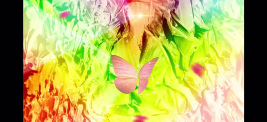 “Karma” Butterfly Meditation
