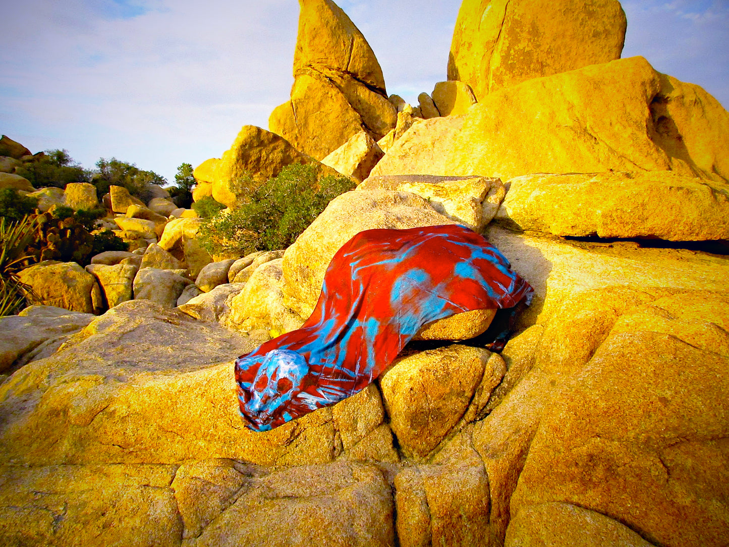 Blue & Brown Sanctum Skull Wool - Silk Scarf